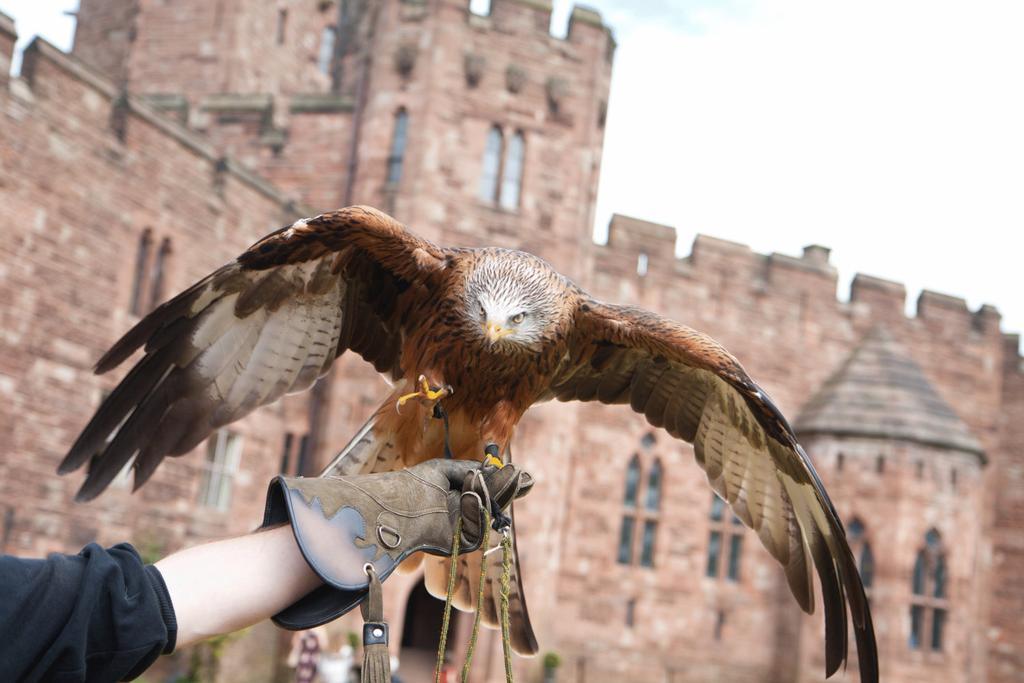 Peckforton Castle Tarporley Luaran gambar